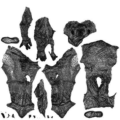 3D scanned man sitting casual, photorealistic archviz people for Enscape and SketchUp, wireframe top-down view