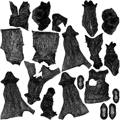 photogrammetry 3D senior woman sport, realistic human model archviz FBX, wireframe top-down view