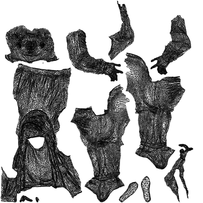 realistic 3D man casual sitting, scanned archviz people for Blender and 3ds Max, wireframe top-down view