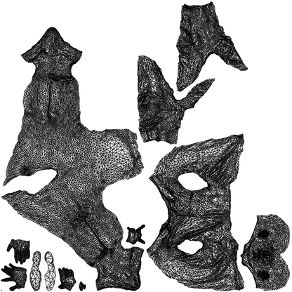 3D human model man business, photogrammetry scanned person for archviz, wireframe top-down view