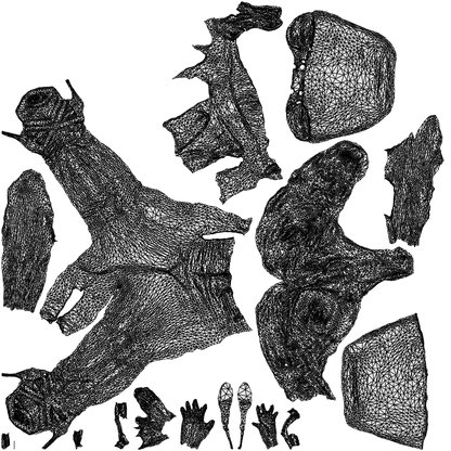realistic 3D people woman casual walking, render-ready for V-Ray and Corona, FBX OBJ, wireframe top-down view