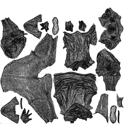 scanned 3D woman casual sitting, photogrammetry people for Enscape and V-Ray, wireframe top-down view