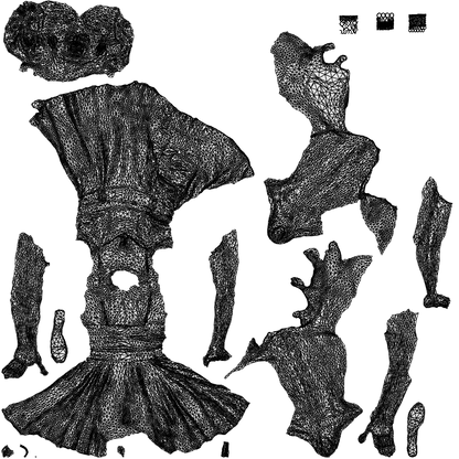 realistic 3D human woman formal cycling, archviz people FBX OBJ for Blender, wireframe top-down view