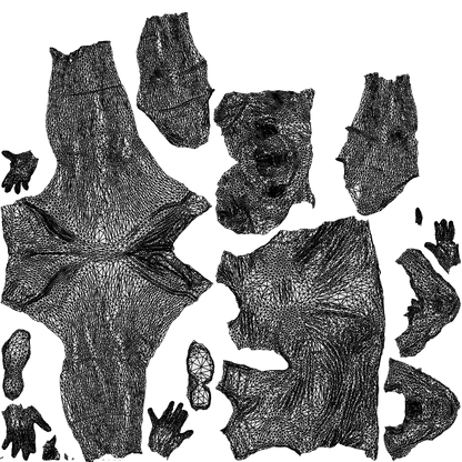 scanned 3D woman sport, photogrammetry people for Enscape and V-Ray, wireframe top-down view