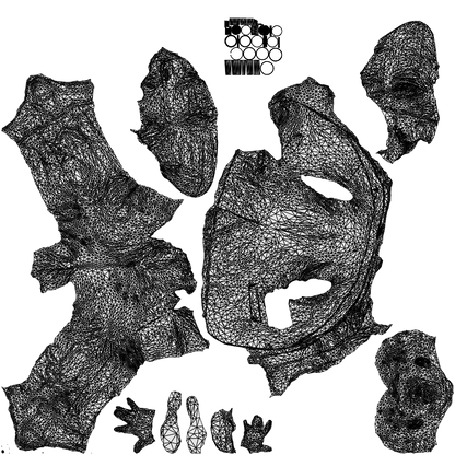 realistic 3D man business walking, scanned archviz people for Blender and 3ds Max, wireframe top-down view
