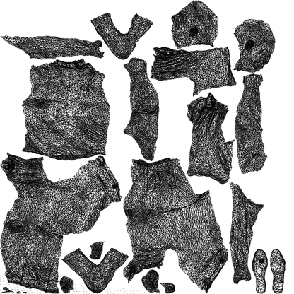 realistic 3D people man casual cycling, render-ready for V-Ray and Corona, FBX OBJ, wireframe top-down view