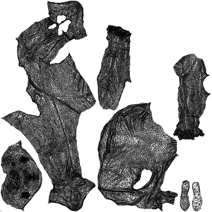 realistic 3D people boy casual kids, render-ready for V-Ray and Corona, FBX OBJ, wireframe top-down view