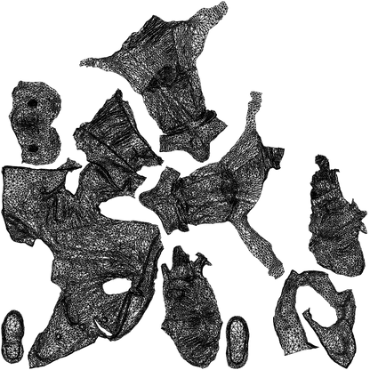 realistic 3D people man casual sitting, render-ready for V-Ray and Corona, FBX OBJ, wireframe top-down view