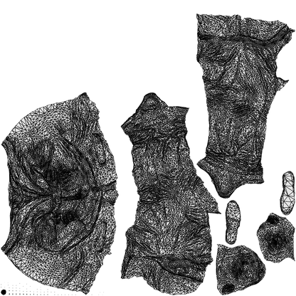 photogrammetry 3D man business, realistic human model archviz FBX, wireframe top-down view