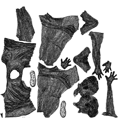 photogrammetry 3D woman sport, realistic human model archviz FBX, wireframe top-down view