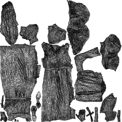 realistic 3D woman casual door, scanned archviz people for Blender and 3ds Max, wireframe top-down view