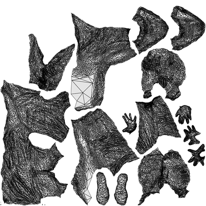 realistic 3D boy casual kids, scanned archviz people for Blender and 3ds Max, wireframe top-down view