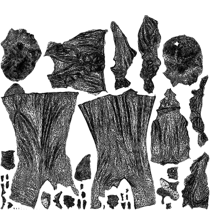 3D scanned woman standing casual, photorealistic archviz people for Enscape and SketchUp, wireframe top-down view