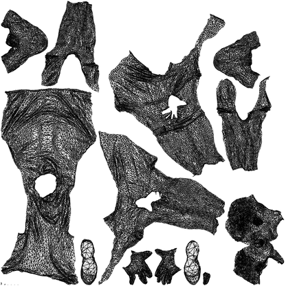 realistic 3D man sport, scanned archviz people for Blender and 3ds Max, wireframe top-down view