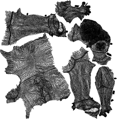 scanned 3D woman casual standing, photogrammetry people for Enscape and V-Ray, wireframe top-down view