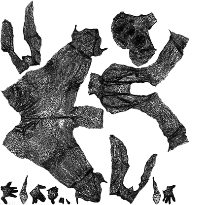3D people model woman business, scanned human for 3ds Max rendering, wireframe top-down view