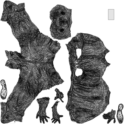 3D people model man casual standing, scanned human for 3ds Max rendering, wireframe top-down view
