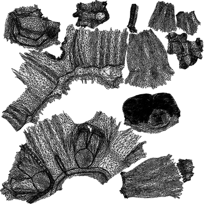 scanned 3D woman formal standing, photogrammetry people for Enscape and V-Ray, wireframe top-down view