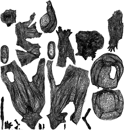 3D people model girl casual shopping, scanned human for 3ds Max rendering, wireframe top-down view