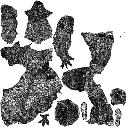 3D people model woman casual sitting, scanned human for 3ds Max rendering, wireframe top-down view