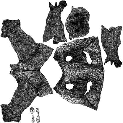 realistic 3D human man sport, archviz people FBX OBJ for Blender, wireframe top-down view