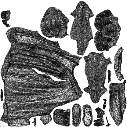 3D people model woman casual walking, scanned human for 3ds Max rendering, wireframe top-down view
