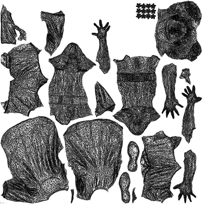 3D people model woman sport, scanned human for 3ds Max rendering, wireframe top-down view