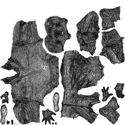photogrammetry 3D man business, realistic human model archviz FBX, wireframe top-down view