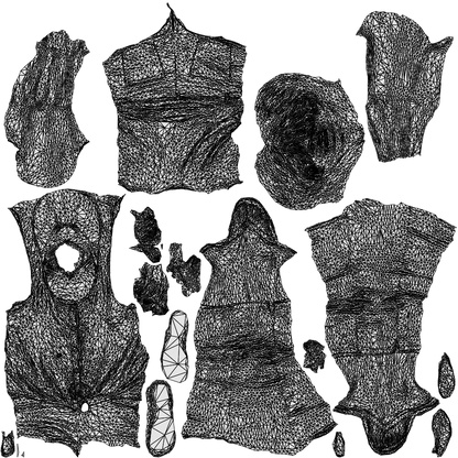 scanned 3D senior woman casual standing, photogrammetry people for Enscape and V-Ray, wireframe top-down view