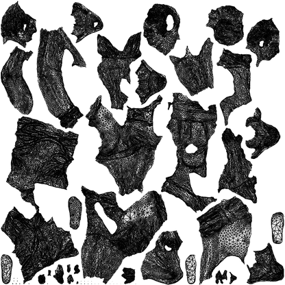 scanned 3D woman sitting, photogrammetry people for Enscape and V-Ray, wireframe top-down view