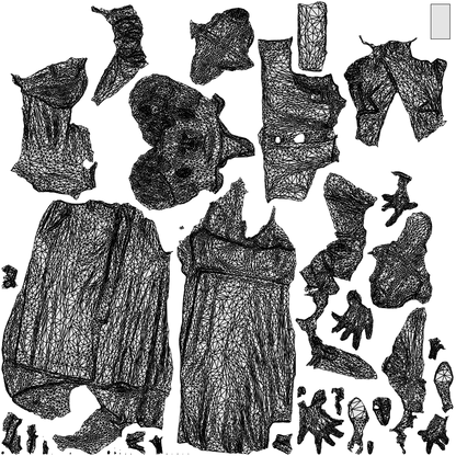 scanned 3D woman business standing, photogrammetry people for Enscape and V-Ray, wireframe top-down view