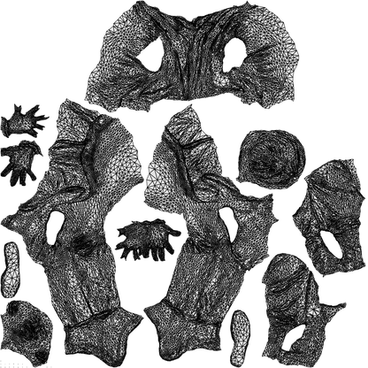 photogrammetry 3D man business, realistic human model archviz FBX, wireframe top-down view