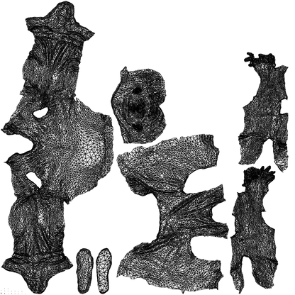 realistic 3D man casual sitting, scanned archviz people for Blender and 3ds Max, wireframe top-down view