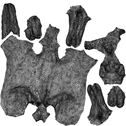 3D human model person casual misc, photogrammetry scanned person for archviz, wireframe top-down view
