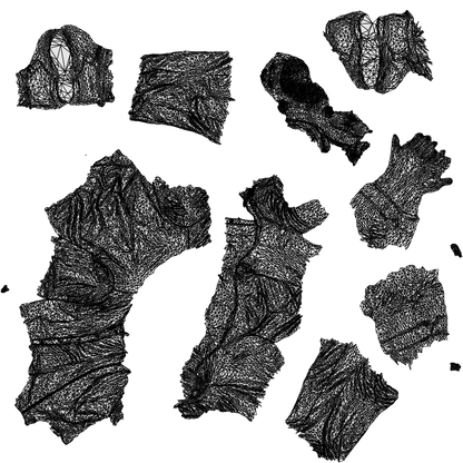 3D scanned man walking casual, photorealistic archviz people for Enscape and SketchUp, wireframe top-down view