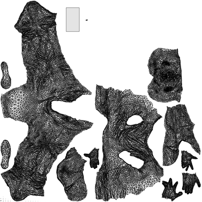 3D people model senior man casual sitting, scanned human for 3ds Max rendering, wireframe top-down view