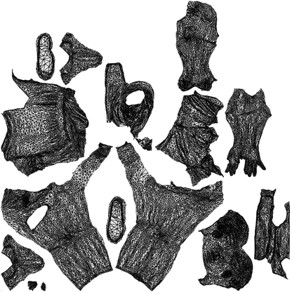 realistic 3D boy casual kids, scanned archviz people for Blender and 3ds Max, wireframe top-down view