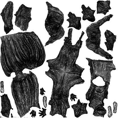3D people model girl casual kids, scanned human for 3ds Max rendering, wireframe top-down view
