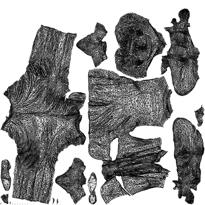 photogrammetry 3D man business, realistic human model archviz FBX, wireframe top-down view