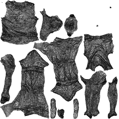 scanned 3D man casual cycling, photogrammetry people for Enscape and V-Ray, wireframe top-down view