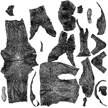 scanned 3D man business walking, photogrammetry people for Enscape and V-Ray, wireframe top-down view