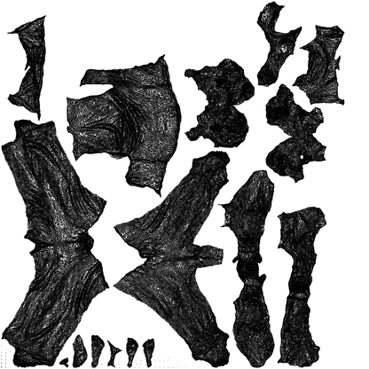 3D human model girl kids, photogrammetry scanned person for archviz, wireframe top-down view