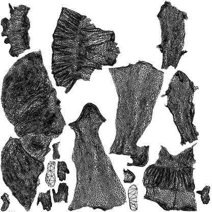 scanned 3D woman casual standing, photogrammetry people for Enscape and V-Ray, wireframe top-down view