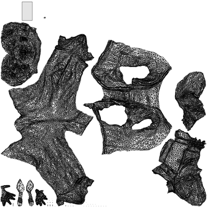 3D people model woman casual standing, scanned human for 3ds Max rendering, wireframe top-down view