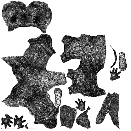 realistic 3D boy casual kids, scanned archviz people for Blender and 3ds Max, wireframe top-down view