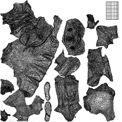 3D people model man business, scanned human for 3ds Max rendering, wireframe top-down view
