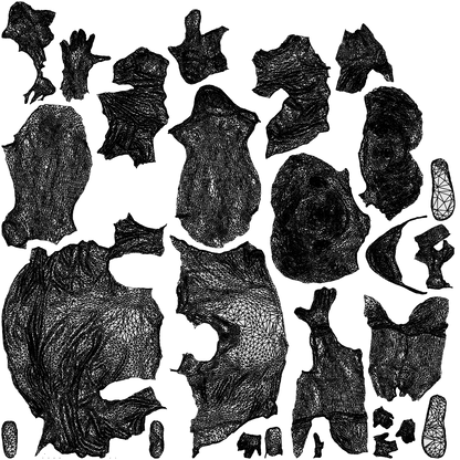 scanned 3D boy casual kids, photogrammetry people for Enscape and V-Ray, wireframe top-down view