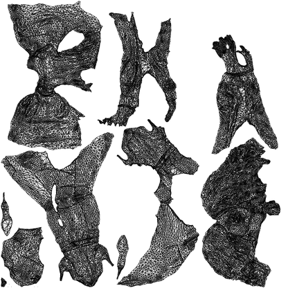 realistic 3D woman casual sitting, scanned archviz people for Blender and 3ds Max, wireframe top-down view