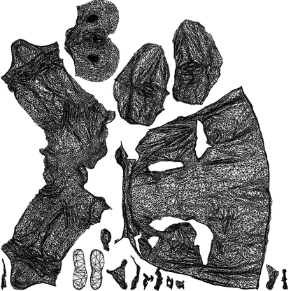 scanned 3D senior man medical, photogrammetry people for Enscape and V-Ray, wireframe top-down view