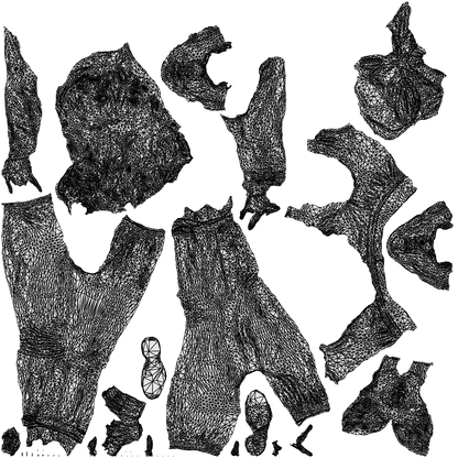 scanned 3D woman sport, photogrammetry people for Enscape and V-Ray, wireframe top-down view